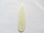 (image for) Bone feather 5" hole side to side at the top #MISC-10B