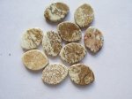 (image for) 19x14mm Brown & Cream Flat Pointy Oval (Bag of 10) #CAB-47