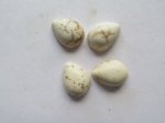 (image for) 12x15mm Cream Teardrop Cabs (4pcs) #CAB-60