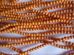 (image for) Orange/yellow rounds #TU1265