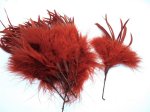(image for) Feathers Vintage Rust colored Feathers (12pcs)
