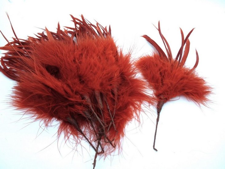 (image for) Feathers Vintage Rust colored Feathers (12pcs)
