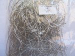 (image for) Head Pins with ball- 3" - bag #HPIN-8B