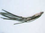(image for) Suede Tassle Olive Green 10" - BS-Tasgr