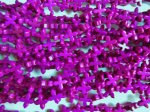 (image for) Plum Cross Rosette Beads # 1688