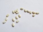 (image for) 3x6mm approx - White Oval cabochons 20pcs #Ecab-42