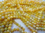 (image for) Yellow Agate 10mm round beads #1970